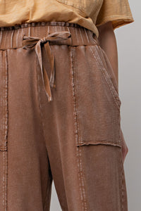 EB40706 Chocolate Brown Pant Easel