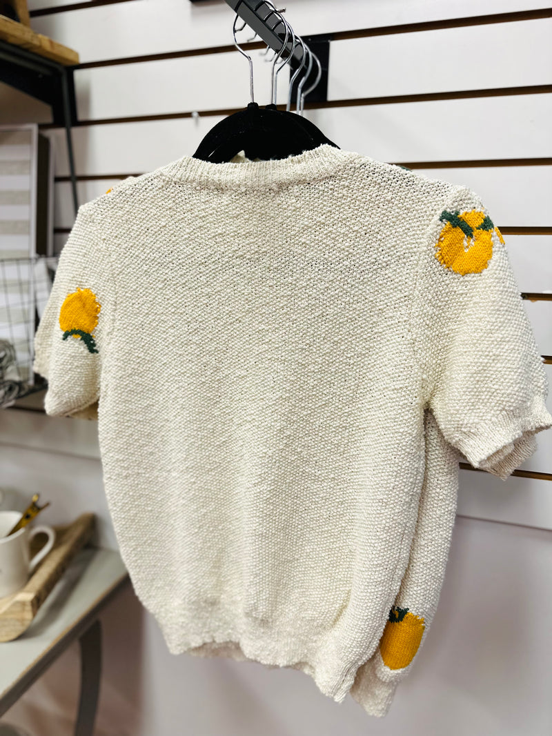 Oatmeal Lemon Lightweight Short Sleeve Sweater | Lenny Staccato