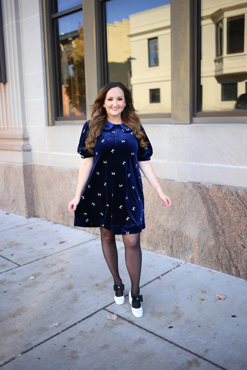 Navy Blue Velvet Bow Embroidery Dress | Jenny Jodifl