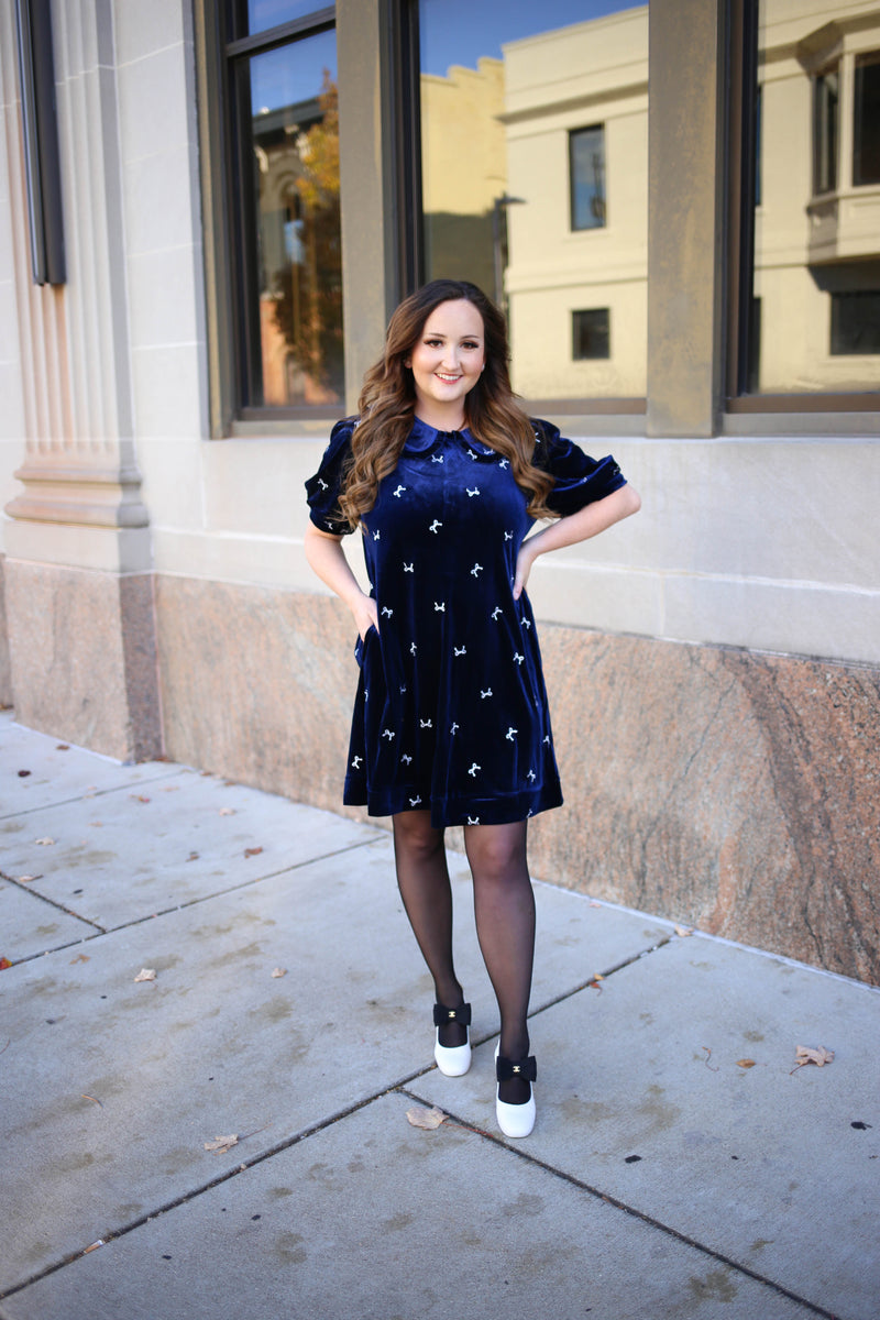Navy Blue Velvet Bow Embroidery Dress | Jenny Jodifl