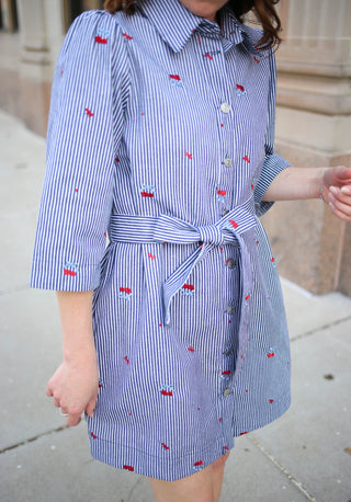 Cherry Blossom Navy Stripe Shirtdress | Chandler Jodifl