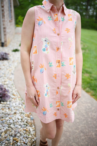 Pink Stripe and Vintage Floral Print Sleeveless Dress | Sienna Entro