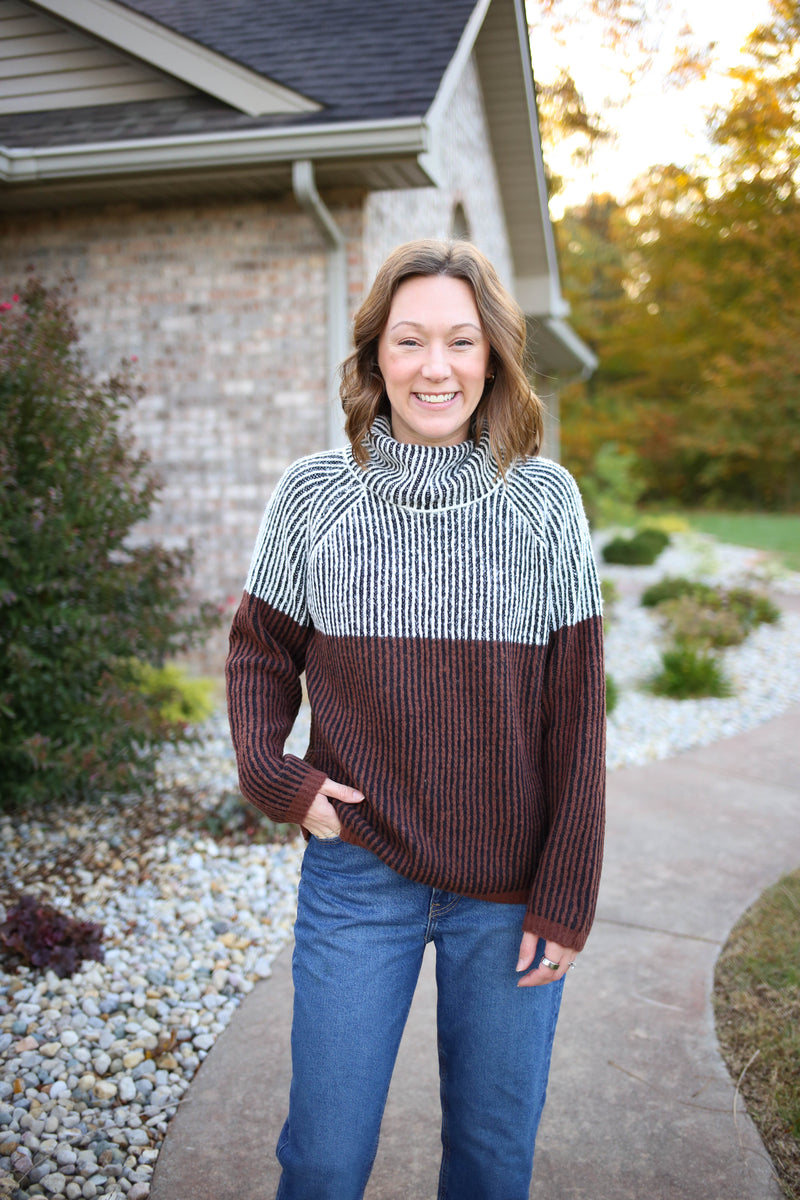 Black and Brown Turtleneck Sweater | Tori cozy casual