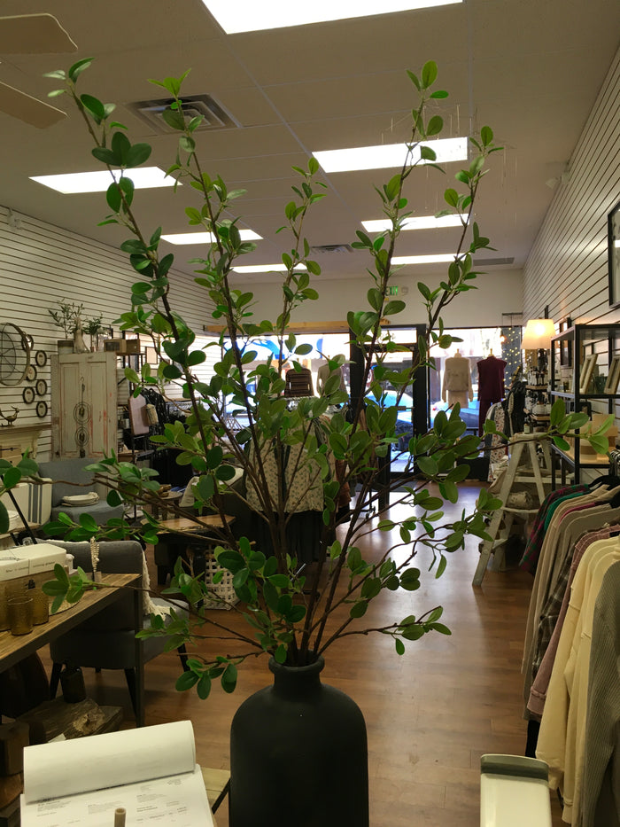 Tall Green Leaf Stem